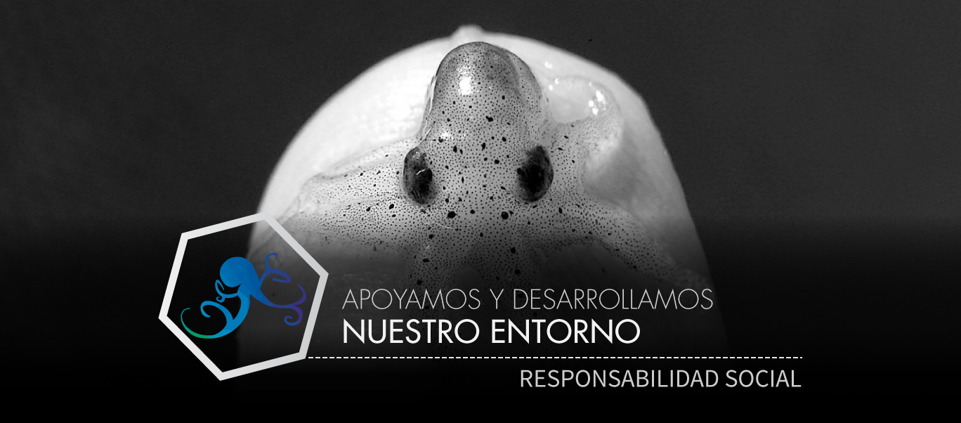 responsabilidad social ecopublicidad